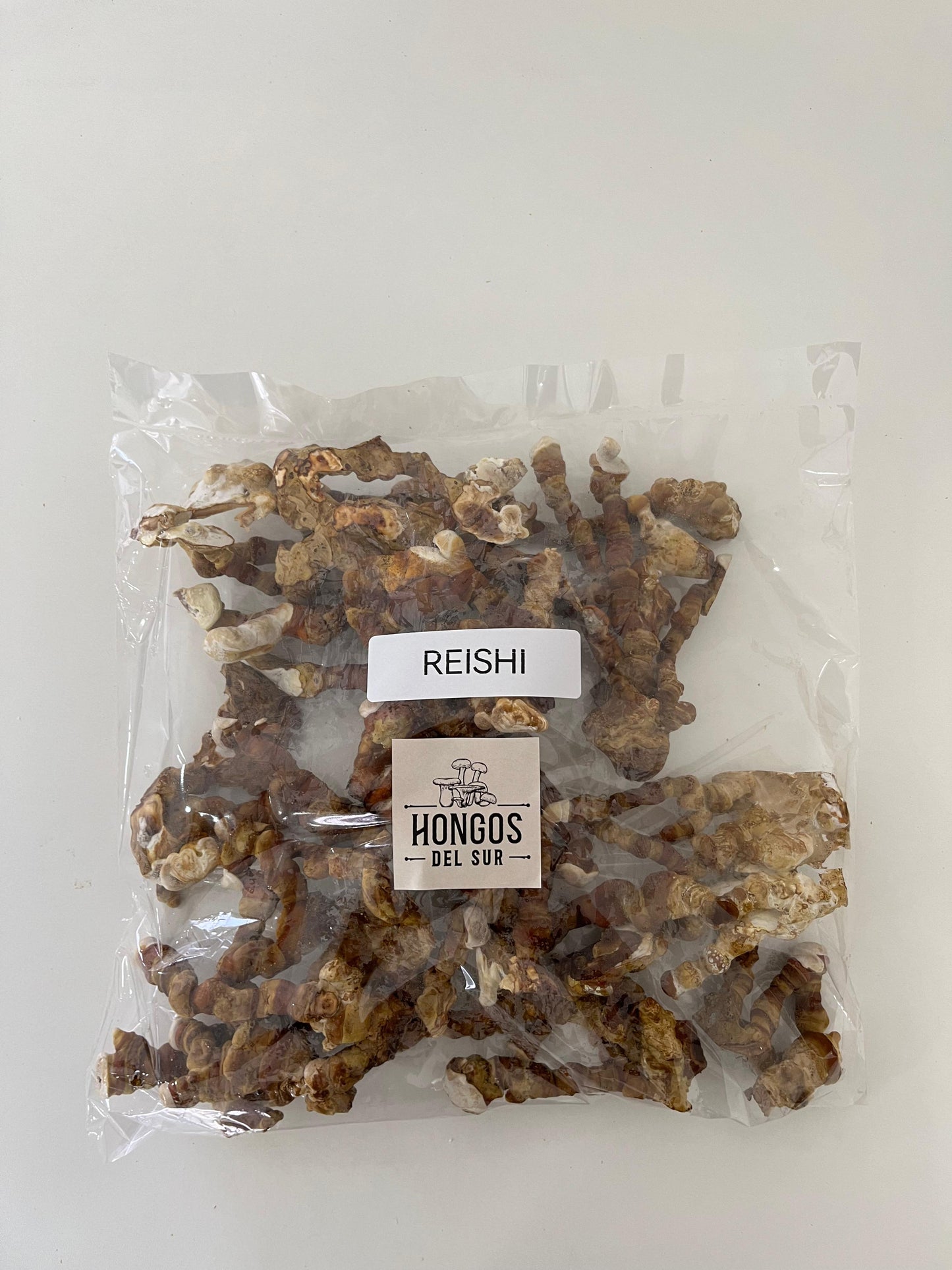 Reishi (ganoderma lucidum) - Fresco