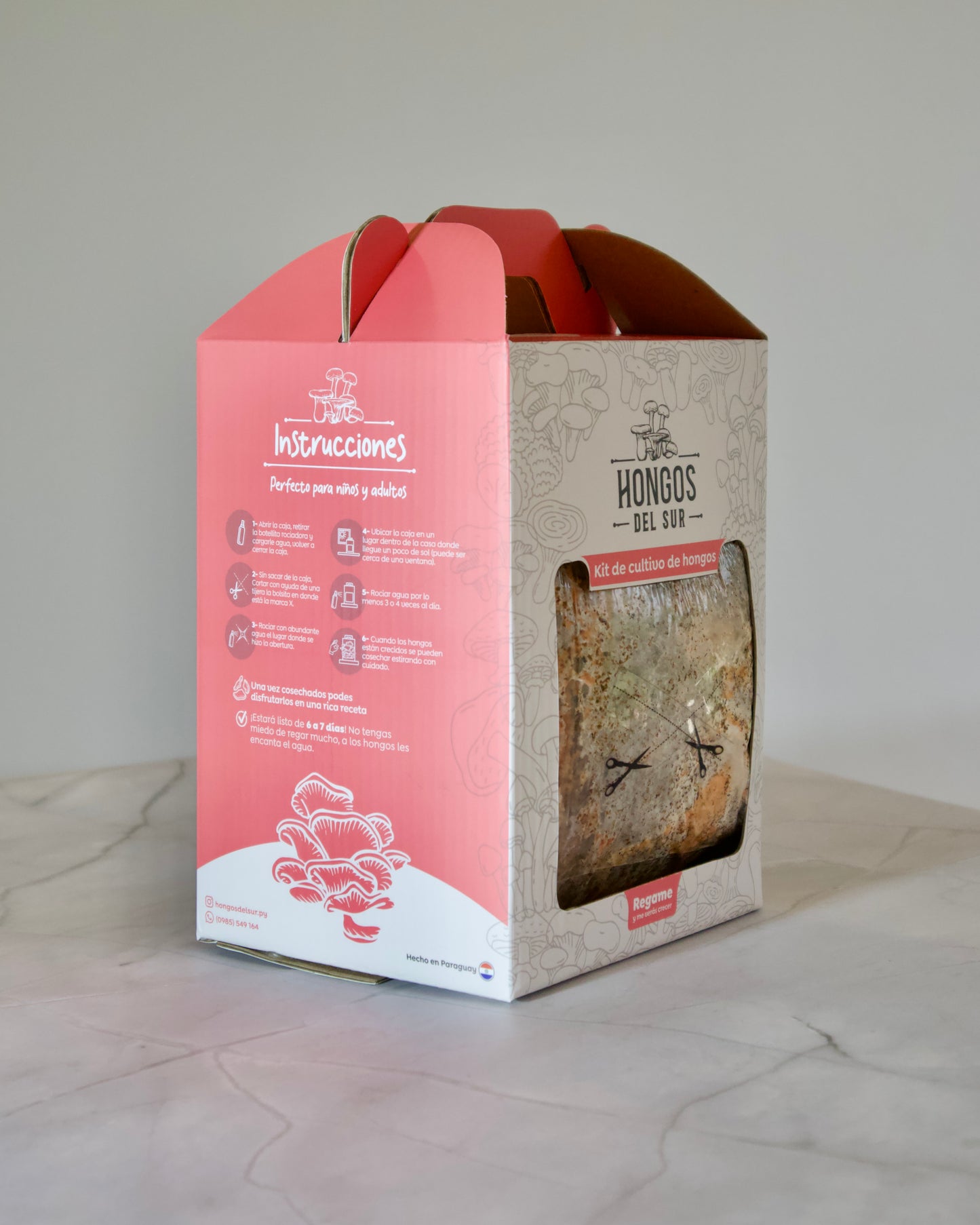 Kit de Cultivo - Ostra Rosa