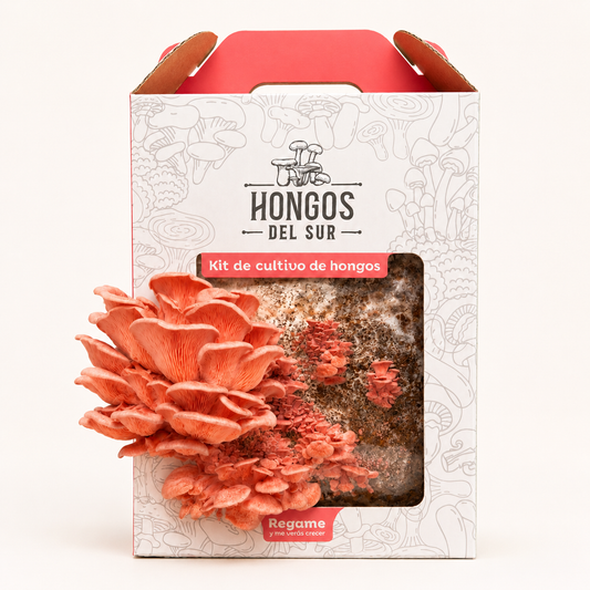 Kit de Cultivo - Ostra Rosa