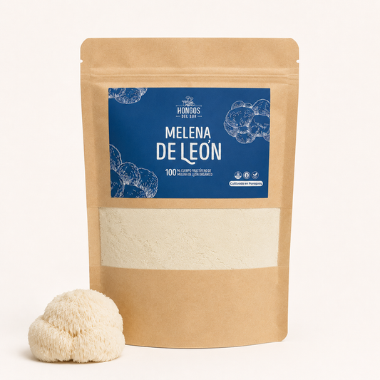 Melena de León (Hericium erinaceus) - Deshidratado