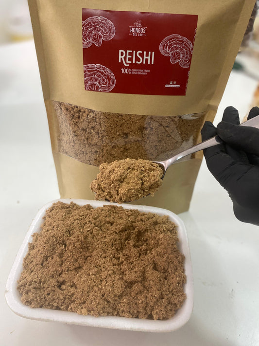 Reishi (ganoderma lucidum) - Deshidratado