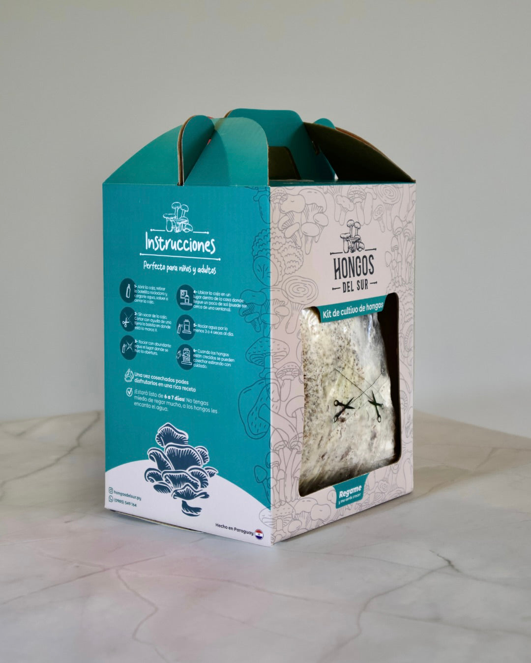 Kit de Cultivo - Ostra Azul